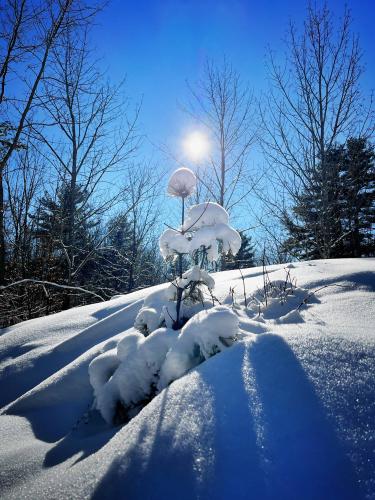 Frontenac Provincial Park, Ontario Canada