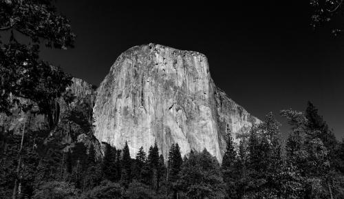 Yosemite NP 2019