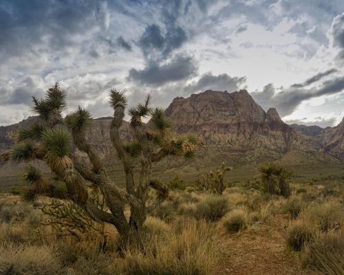 Red Rock Canyon, Las Vegas, NV ,