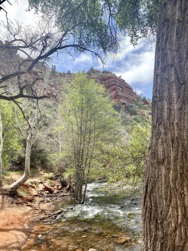 Oak Creek Canyon, Arizona