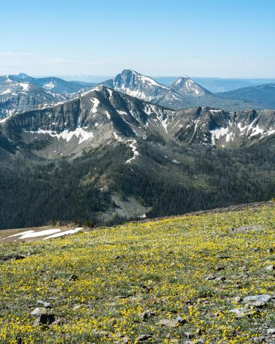 Avalanche Peak, Yellowstone National Park