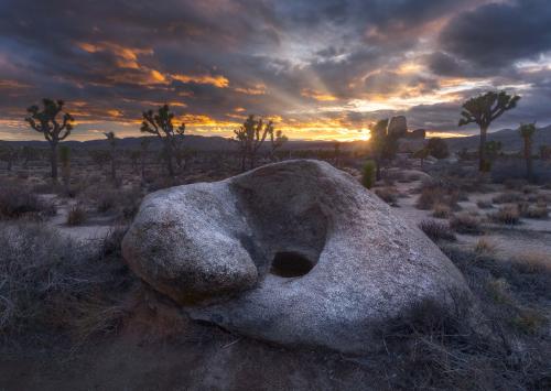 Striking Sunset at Joshua Tree National Park