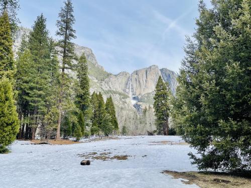 Far view of Yosemite Falls