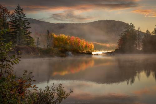 Sunrise illuminating a lakeshore grove, northern Vermont