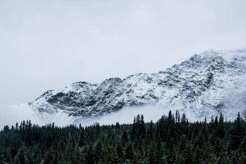 Tonquin valley in the Canadian Rockies at the beginning of winter [x] IG @finnastray