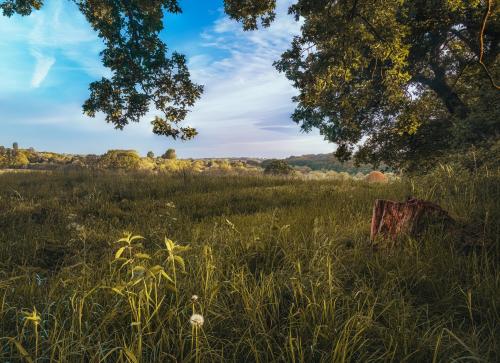 "Green And Pleasant Land" Bedfordshire