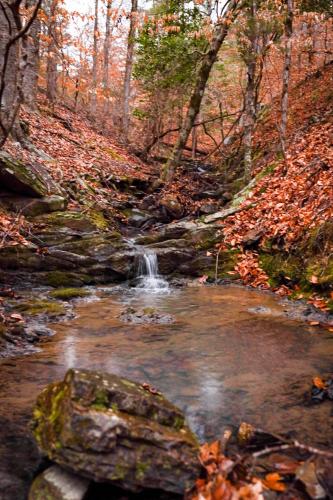 Not all hikes have beautiful, wide vistas and roaring, cascading waterfalls, but they can still be pleasing to the eyes, soothing to the ears, and refreshing for the soul. Eagle Rock Loop, Ouachita National Forest, Arkansas, USA