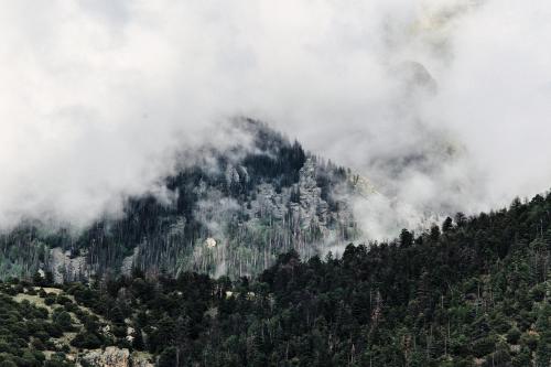 Fog in the High Sangre de Cristo Mountains