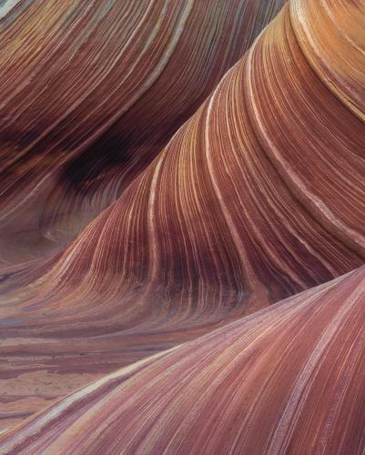 Truly earth porn at the Wave in Vermilion Cliffs National Monument, Arizona  []