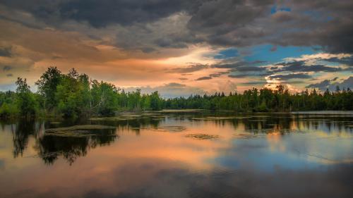 Nature