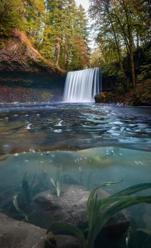 Took a picture under the water and one above with my DSLR and blended them. Beaver Falls, Clatskanie, Oregon