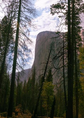 El Capitan standing over the smoke. Yosemite, CA