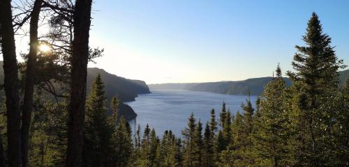 Sunset along the shores of Emarald Lake, Canada.