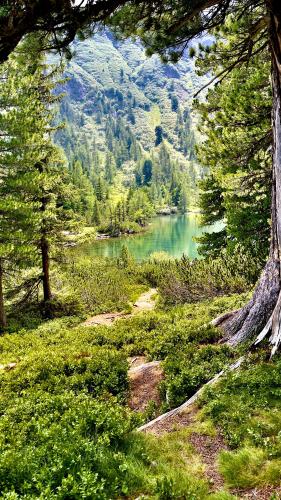 Groser Beosenstein, Austria