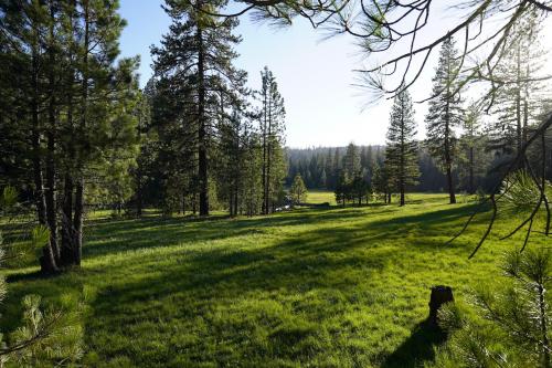 Princess Meadow, CA