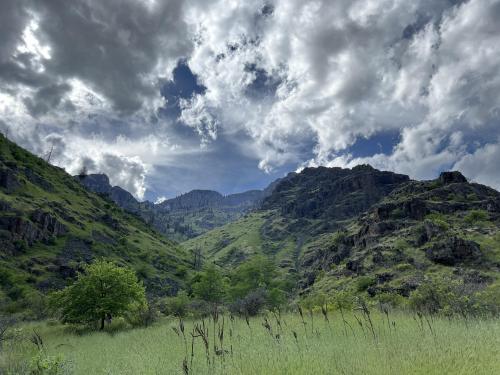Hells Canyon Wilderness, Oregon, Just Above The Snake River