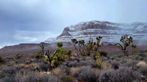 Snow in the Mohave