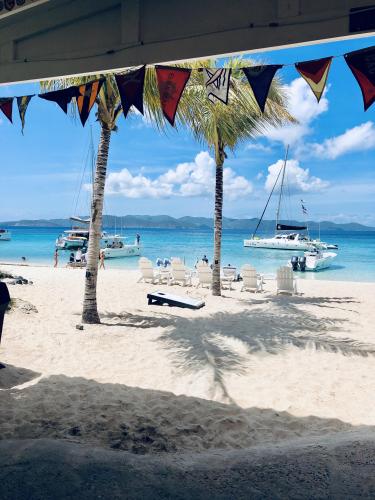 Soggy Dollar. White Bay, BVI.