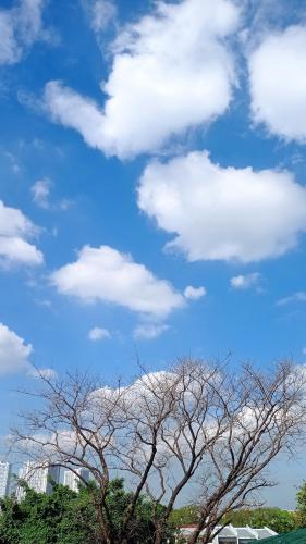 9AM. Beautiful blue over Quezon City.