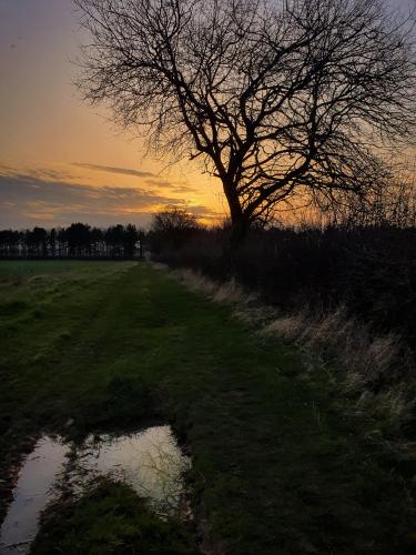 Spring Evening, Northamptonshire U.K.