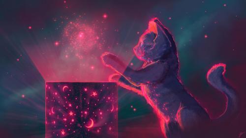 Cat &amp; Stars