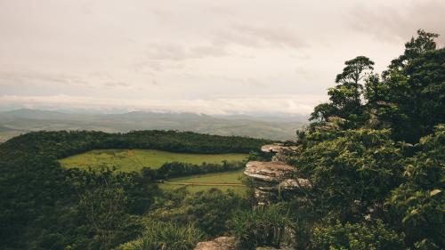 Green Forest With Mountains