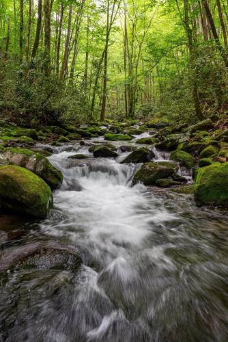 A sunny Monday afternoon in the Great Smoky Mountains