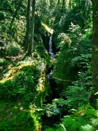 A waterfall in the Wicklow Mountains, Ireland.