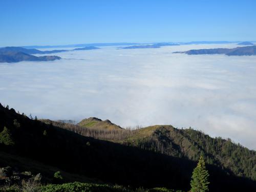 Sea of clouds from Weaver Bally  OC,