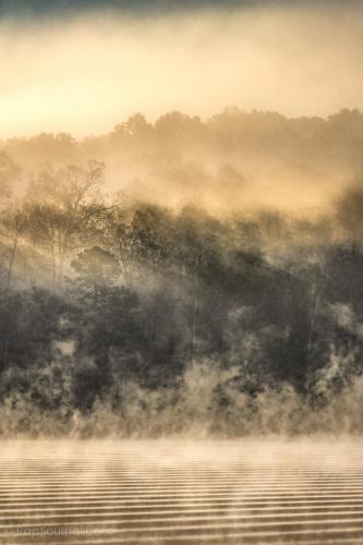 Mist and Fog on Badin Lake,NC.