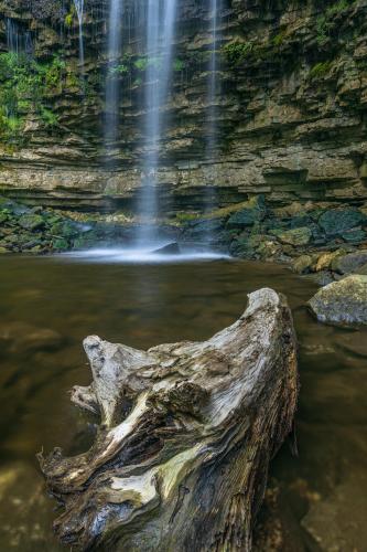 Another one from Hilton Falls, Ontario