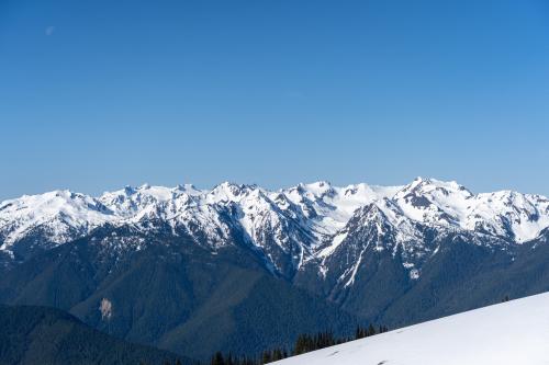 A small portion of Hurricane Ridge, Olympic NPS