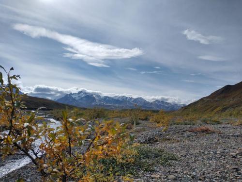 Polychrome Glaciers, Denali National Park AK