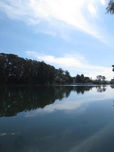 Reflection of the trees at lake
