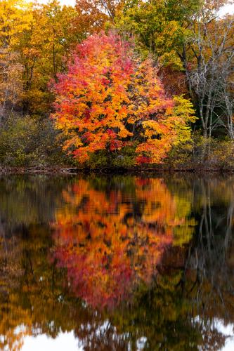 Happy first day of Fall! Horn Pond - Woburn, Massachusetts