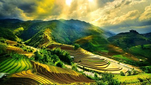 Vietnam Culture wallpaper