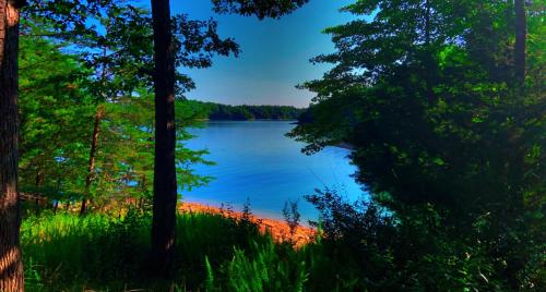 Laurel river lake KY