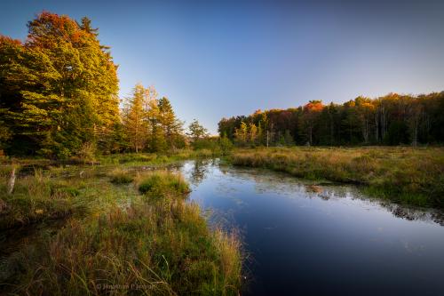 River wetlands in the West Virginia Highlands, USA