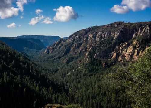 OAKCREEK CANYON, ARIZONA  5317X3781