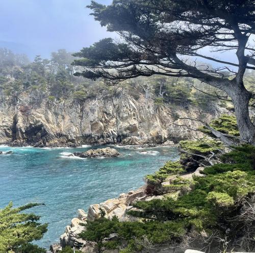 Turning of the tide, Point Lobos State Natural Reserve, Carmel-by-the-Sea, CA
