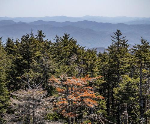 Great Smoky Mountains NP