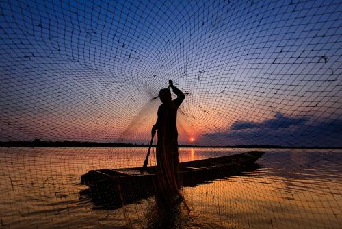 Catching fish with a net