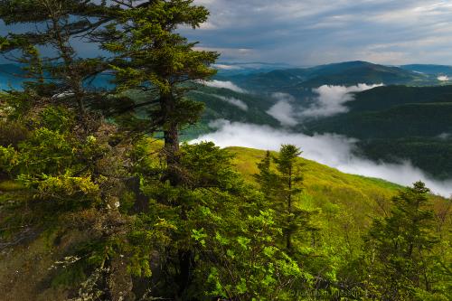 Wilds of West Virginia, USA