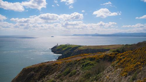 A picture of the landscape in howth   shot