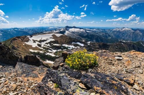 Looking into the Selway-Bitterroot Wilderness from the top of St. Mary Peak, Montana