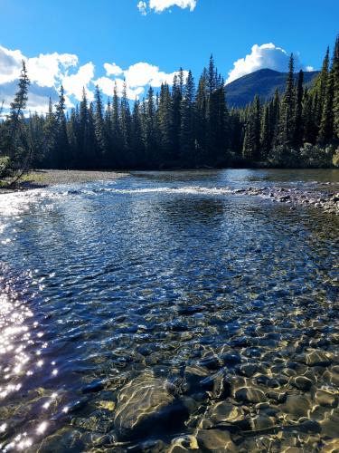 Wapiti River, British Columbia, Canada