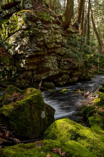 Rock, Moss and Water, Bald Eagle Forest PA