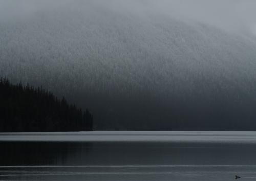 After a Snowy Hike near Bowman Lake, Glacier National Park, MT  @seanaimages