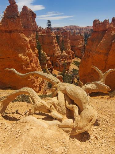 Bryce Canyon