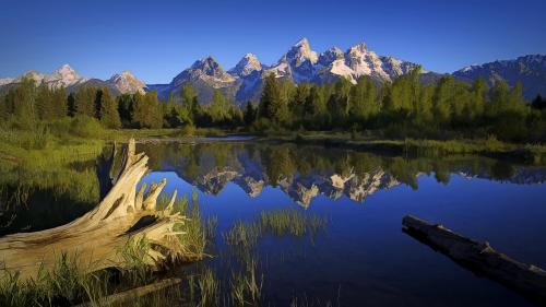 Morning in Grand Teton National Park - Studio Wallpaper edit